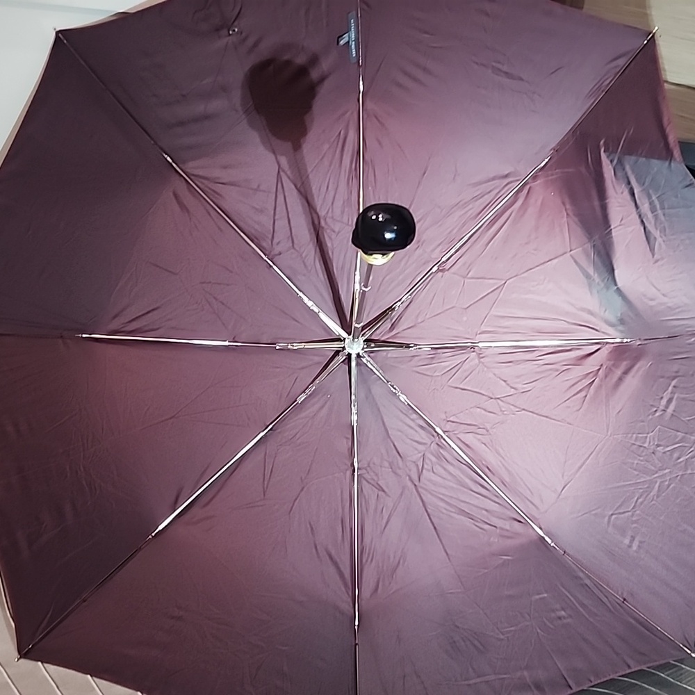 Umbrella Alexander McQueen Black Skull Wine Stopper with Burgundy Sleeve - Picture 12 of 16